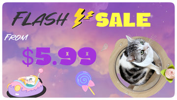 Flash Sale