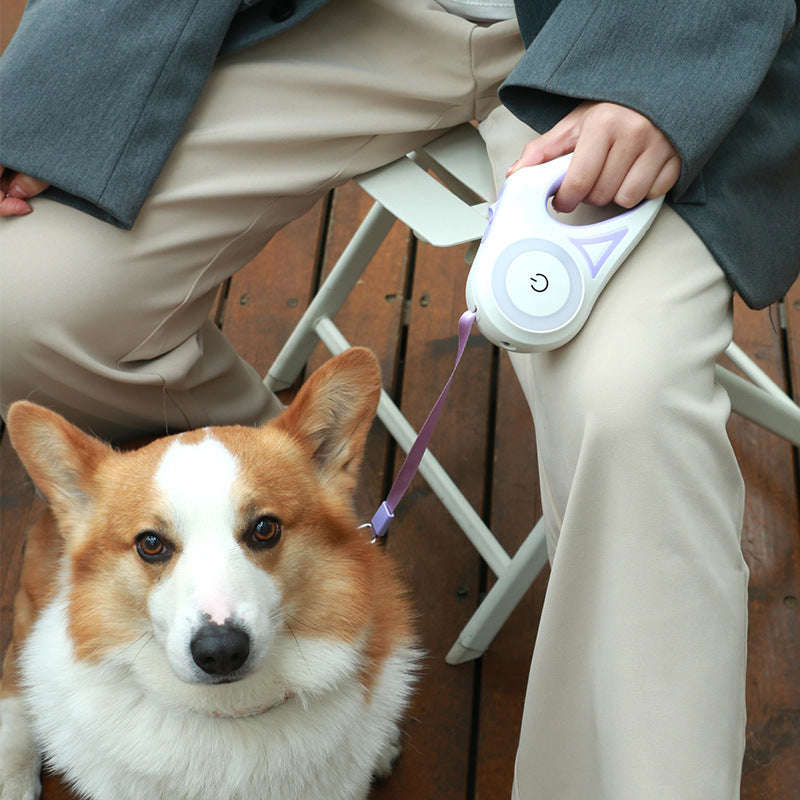 Automatic Pet Dog Cat Traction Rope