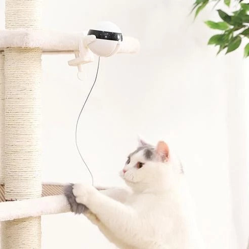 Pet Cat Toy | Electronic Motion Cat Toy