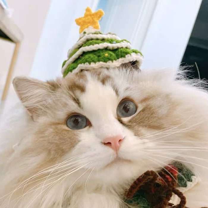 Pet Handmade Woolen Hat | Christmas Tree Handmade Knitted Hat 