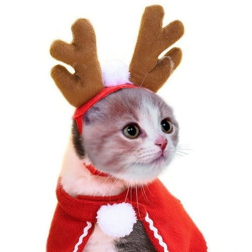 Funny Christmas Suit For Cats Hat