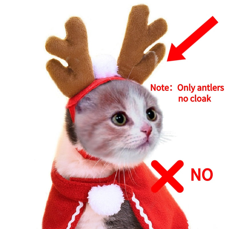 Funny Christmas Suit For Cats Hat