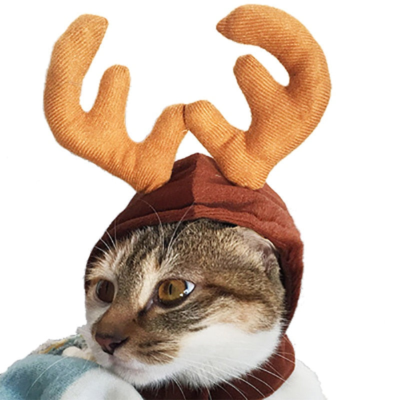 Funny Christmas Suit For Cats Hat