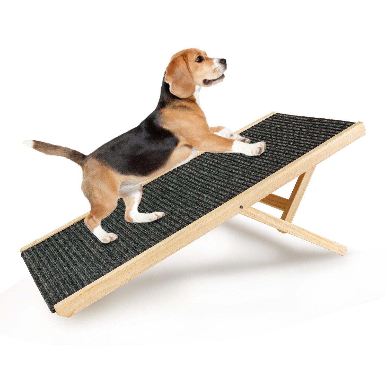 Adjustable Safe Dog Ramp | BaconPaw