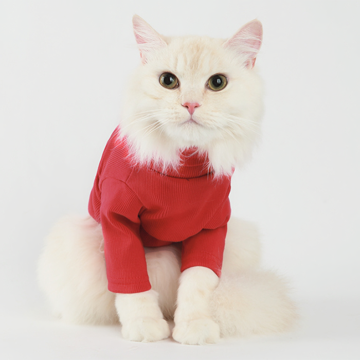 Label Turtleneck Red | Pet Cat Clothes | BaconPaw