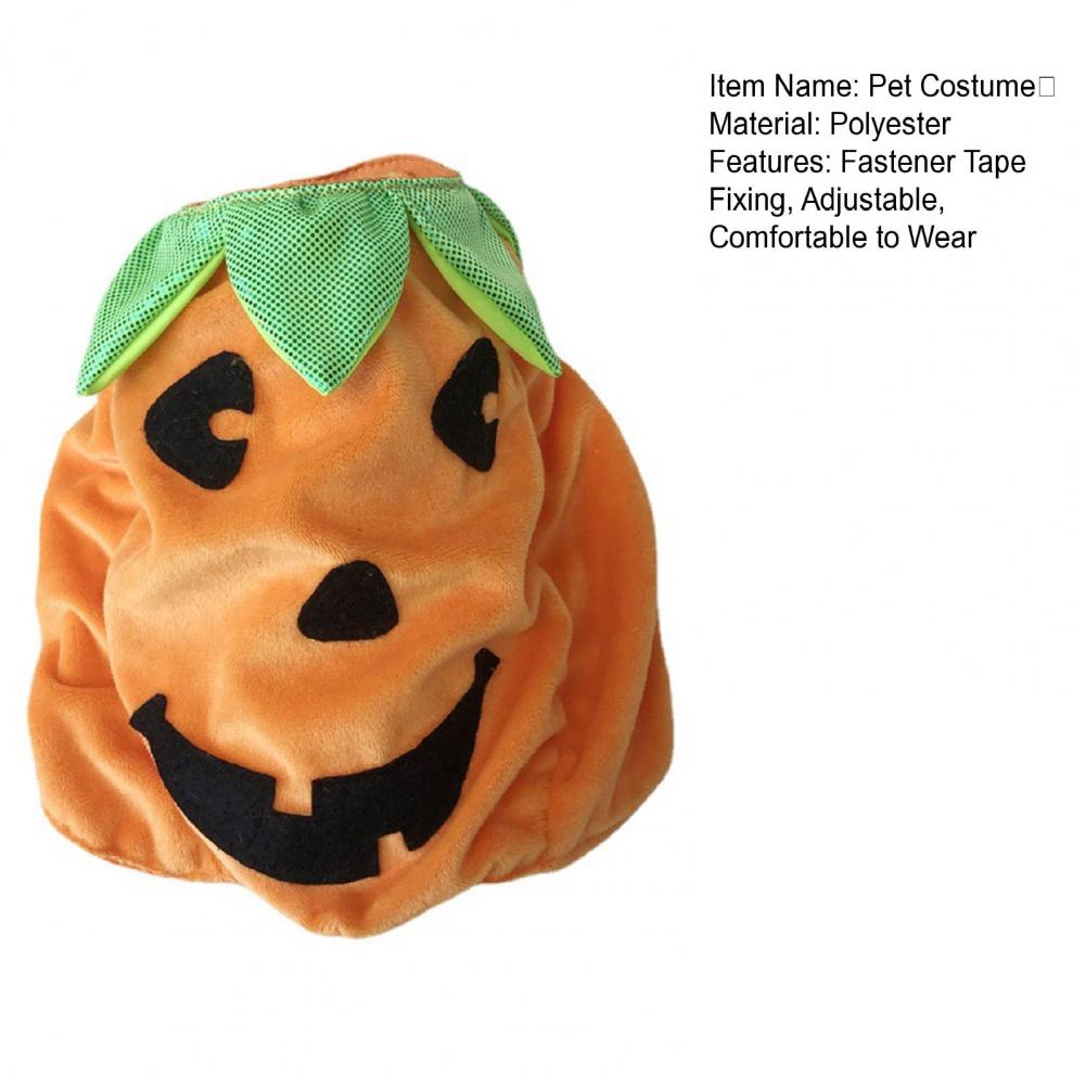 Pet Halloween Costume Halloween Pet Outfit Spooky Pumpkin Pet Costume - BaconPaw