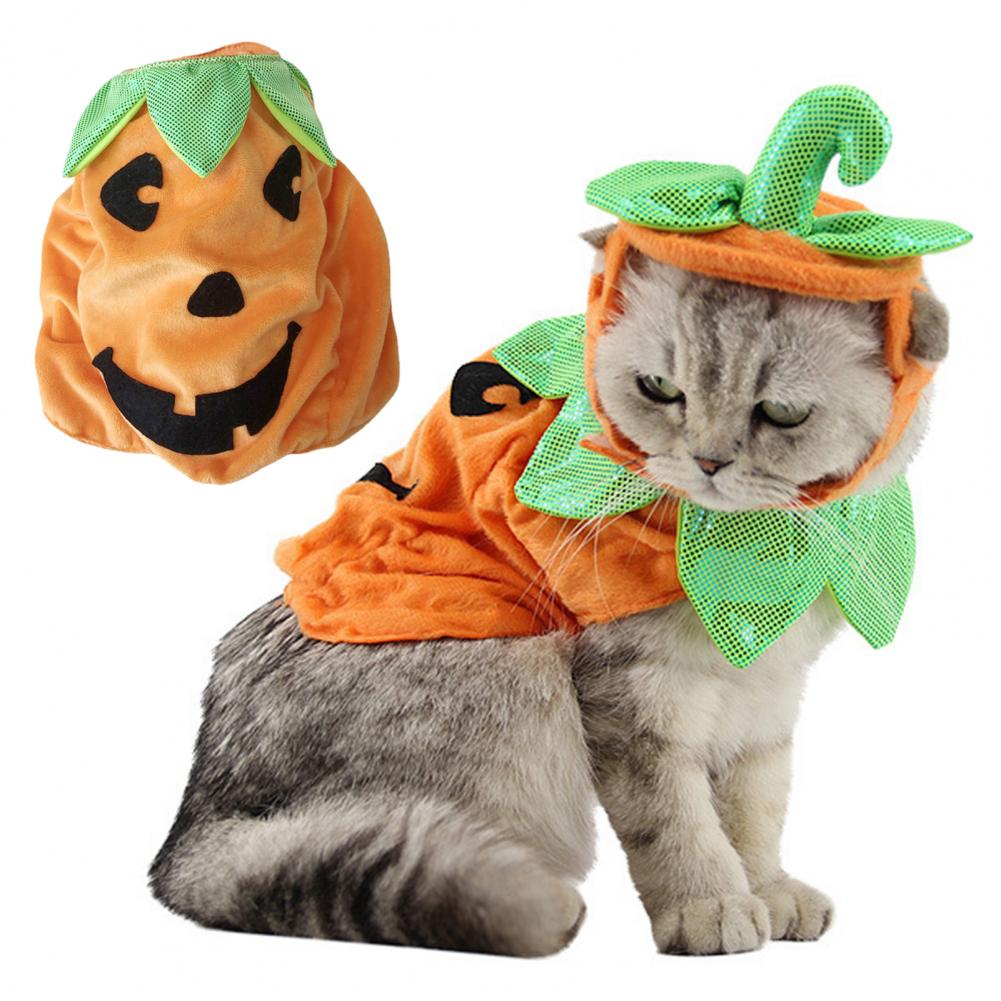 Pet Halloween Costume Halloween Pet Outfit Spooky Pumpkin Pet Costume - BaconPaw