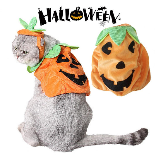 Pet Halloween Costume Halloween Pet Outfit Spooky Pumpkin Pet Costume - BaconPaw