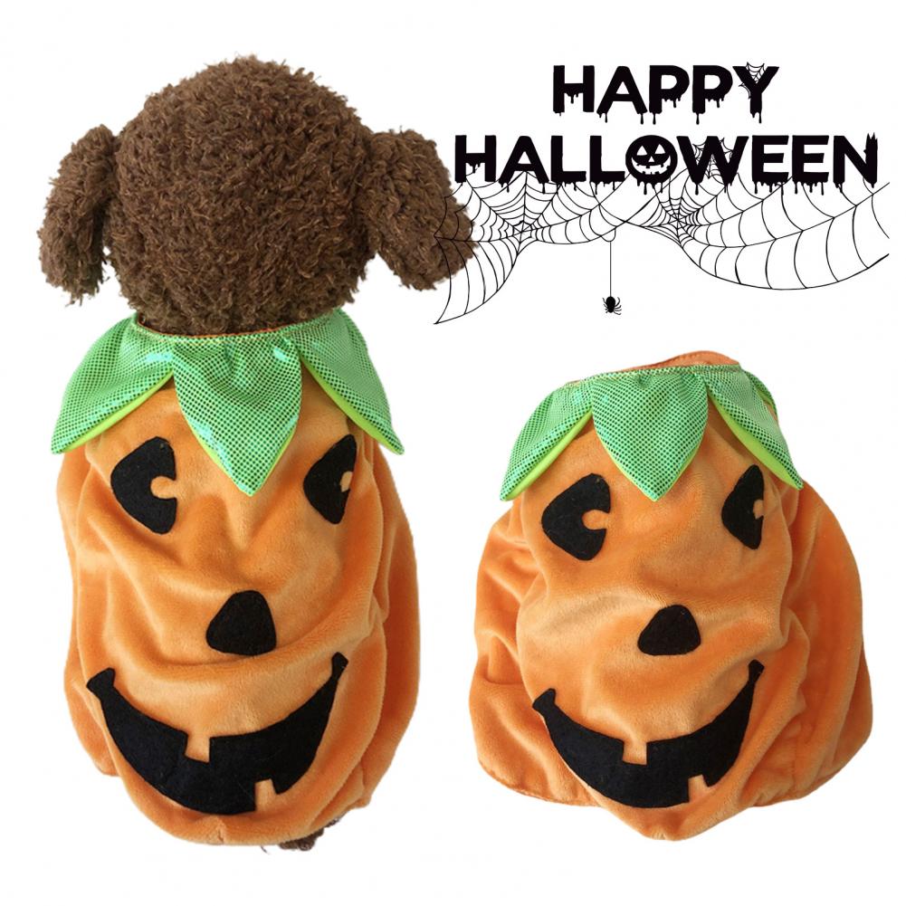 Pet Halloween Costume Halloween Pet Outfit Spooky Pumpkin Pet Costume - BaconPaw