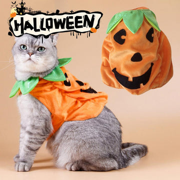 Pet Halloween Costume Halloween Pet Outfit Spooky Pumpkin Pet Costume - BaconPaw