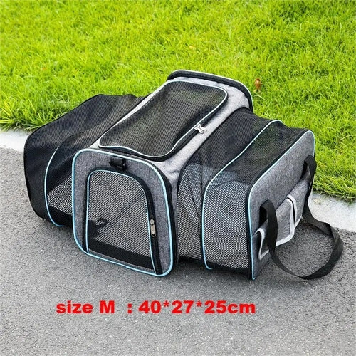 Large Capacity carrier Cat Pet Airlines approved reflective tape Cat - BaconPaw