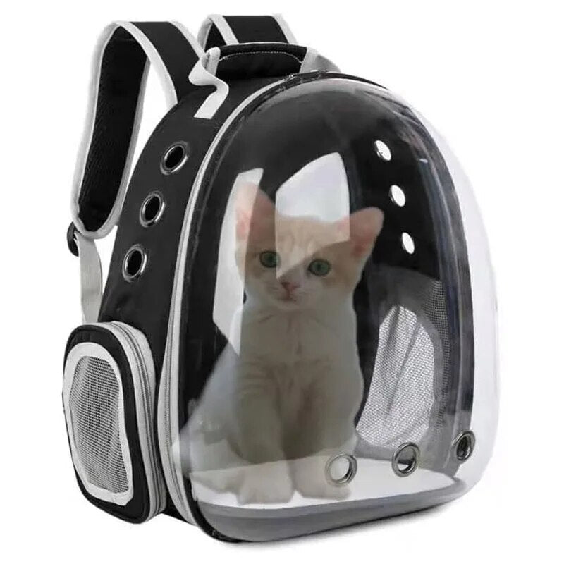 Cat Bag Pet Backpack Out Portable Transparent Capsule Going  Cat - BaconPaw