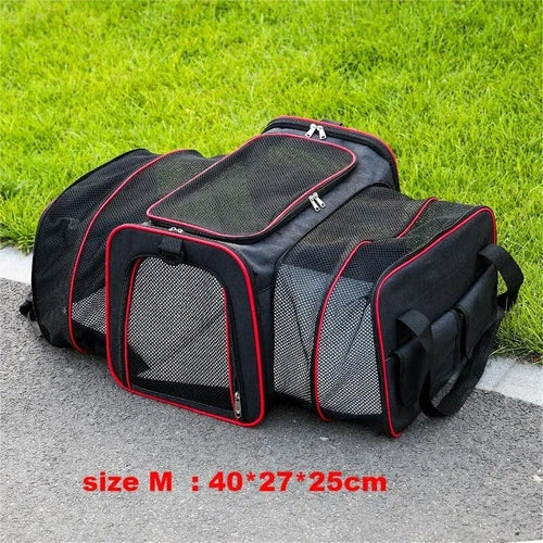 Large Capacity carrier Cat Pet Airlines approved reflective tape Cat - BaconPaw