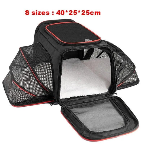 Large Capacity carrier Cat Pet Airlines approved reflective tape Cat - BaconPaw