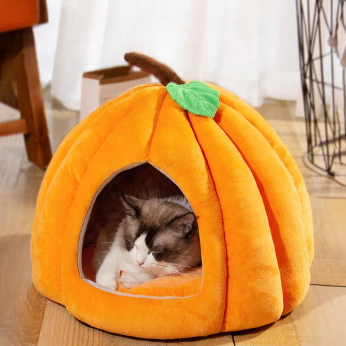 Pumpkin Pet Bed Pet Bed Halloween Pumpkin Pet Bed BaconPaw