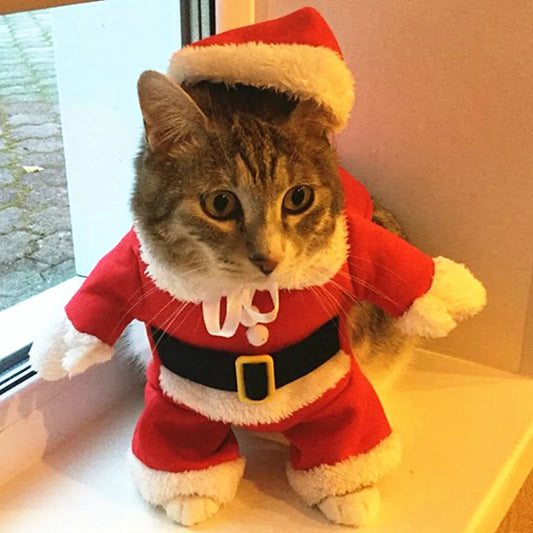 Christmas Cat Costumes Funny Santa Claus Clothes For Small Cats - BaconPaw