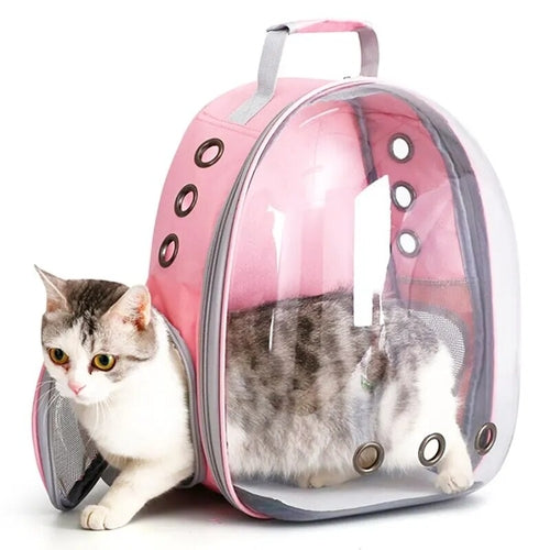 Cat Bag Pet Backpack Out Portable Transparent Capsule Going  Cat - BaconPaw