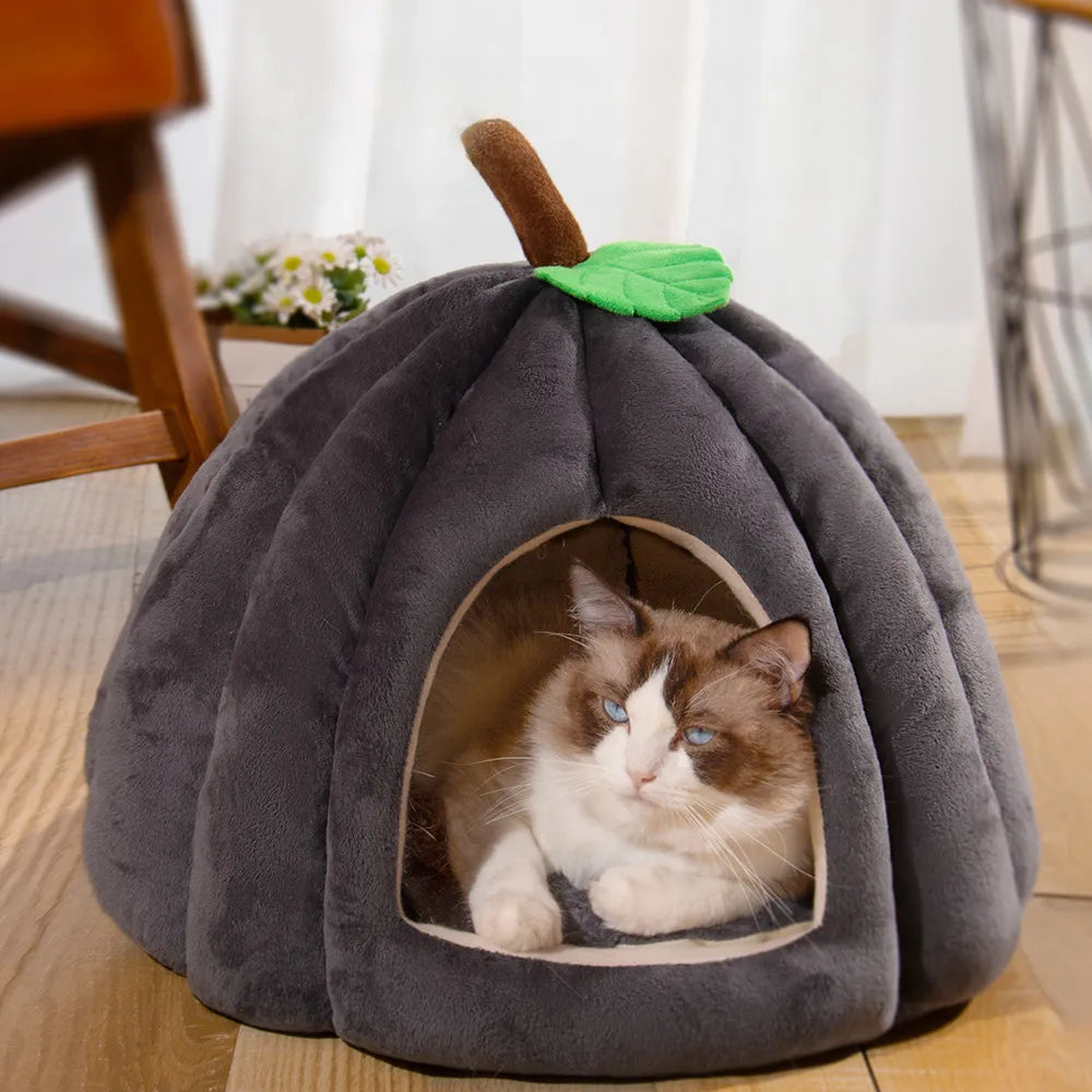 Pumpkin dog bed online