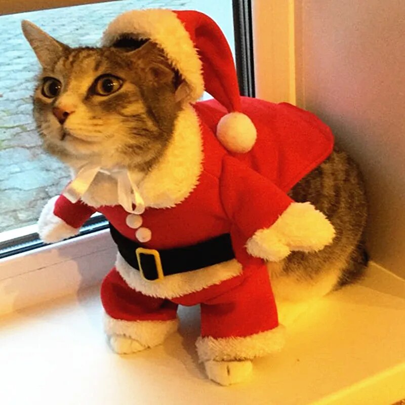 Christmas Cat Costumes Funny Santa Claus Clothes For Small Cats - BaconPaw
